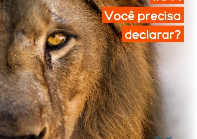 IRPF: Você precisa declarar?